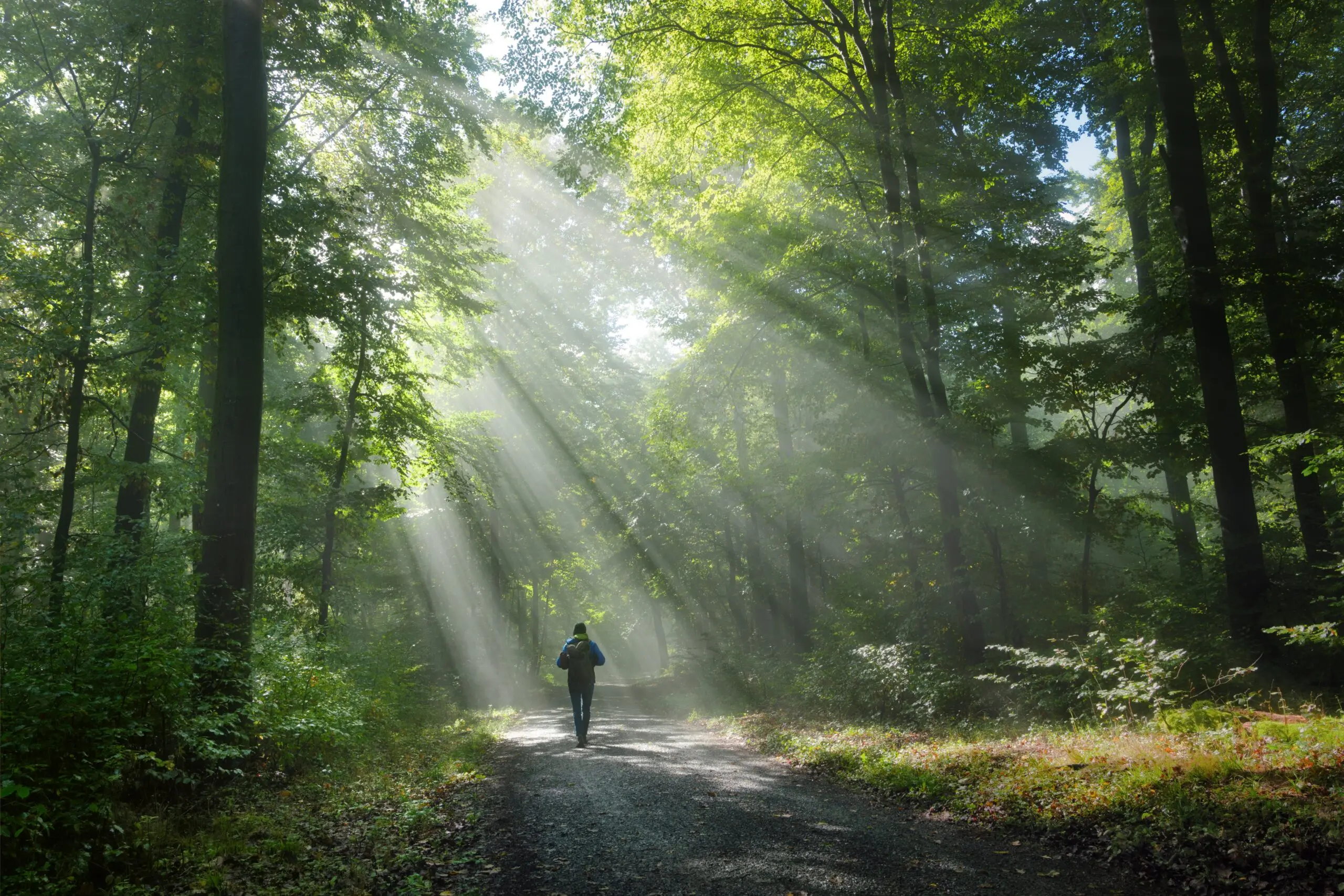 man walking in the woods