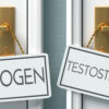 Is Testosterone The New Estrogen?