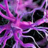 FDA Warns of Nerve Damage Risk in Fluoroquinolones