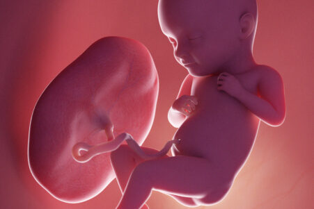 Study Sees Bigger Role for Placenta in Newborns’ Health