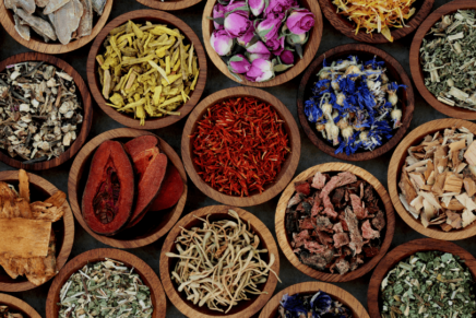 picture depicting several kinds of Chinese herbs used for medicinal purposes