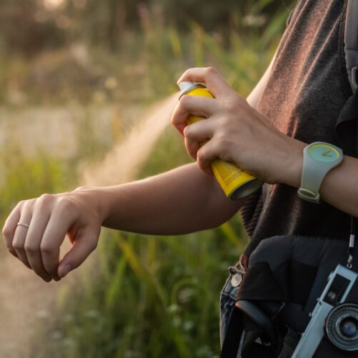 Finding The Best Bug DEET Spray To Combat Zika Virus