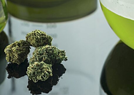 Marijuana Research: Why It Matters