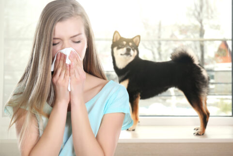 Medicine-Free Methods For Easing Indoor Allergies