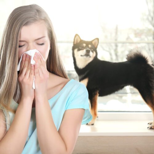 Medicine-Free Methods For Easing Indoor Allergies