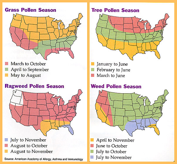 Pollen Map Of Us US Pollen Map   MedShadow