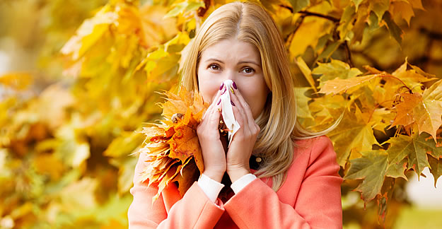 fall allergy medicine side effects