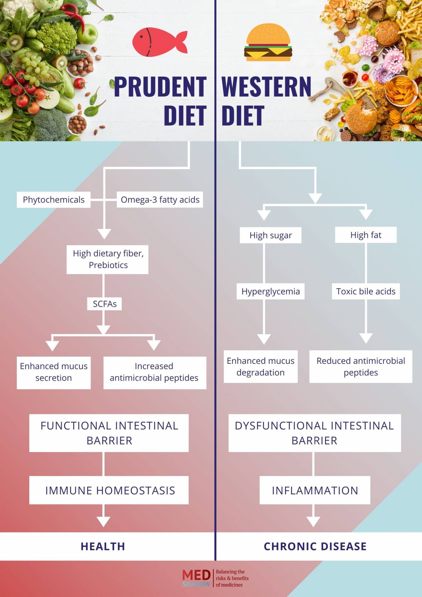 Prudent Diet vs Western Diet