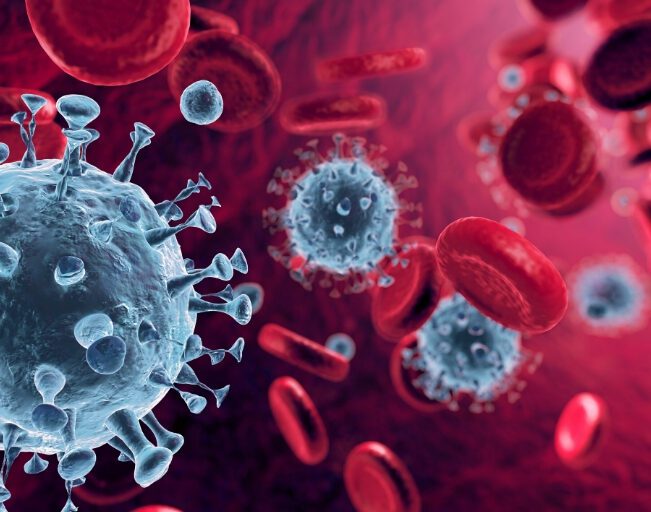 Artificial Red Blood Cells