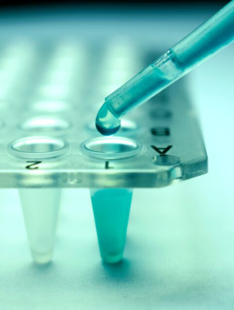 Part 2: The FDA Cracks Down On Stem Cell Therapy