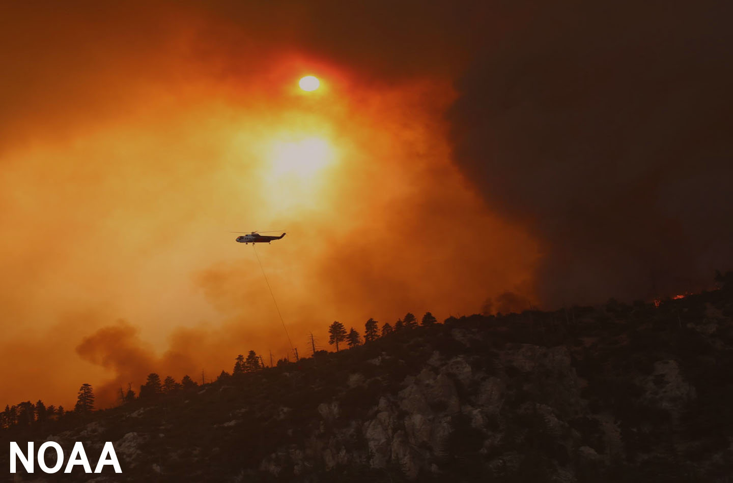 How Wildfires Affect Your Health - MedShadow Foundation
