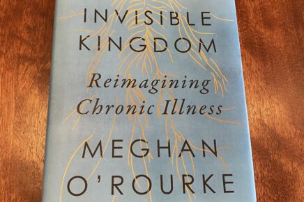 The Invisible Kingdom - Reimagining Chronic Illness - By Megan O’Rourke