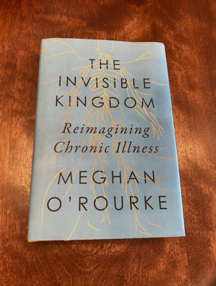 invisible kingdom book review