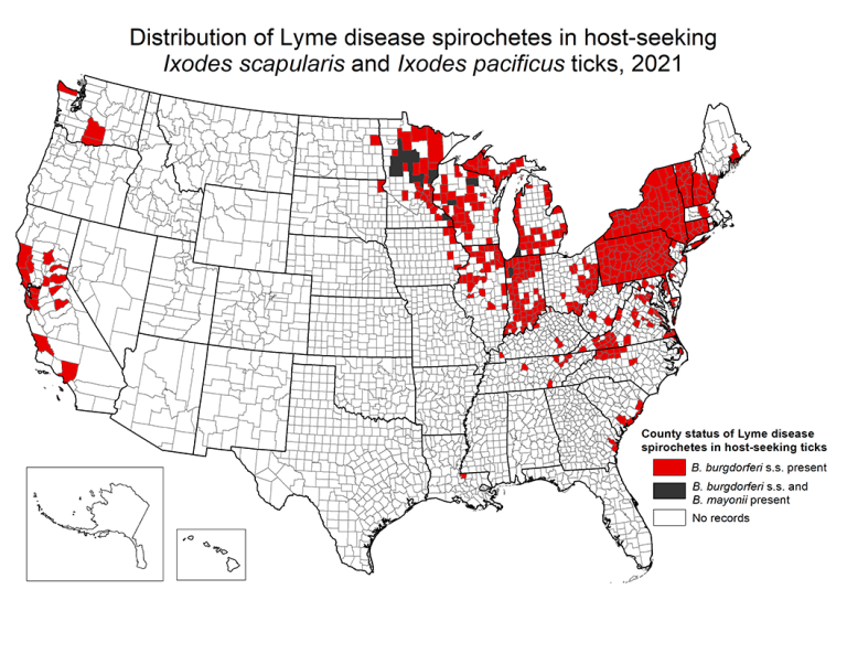 Managing Antibiotic Side Effects For Lyme Disease MedShadow 2021 Lyme Spirochete Map 768x593