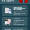 Photo Preview for Kidney Infographic on medshadow.org