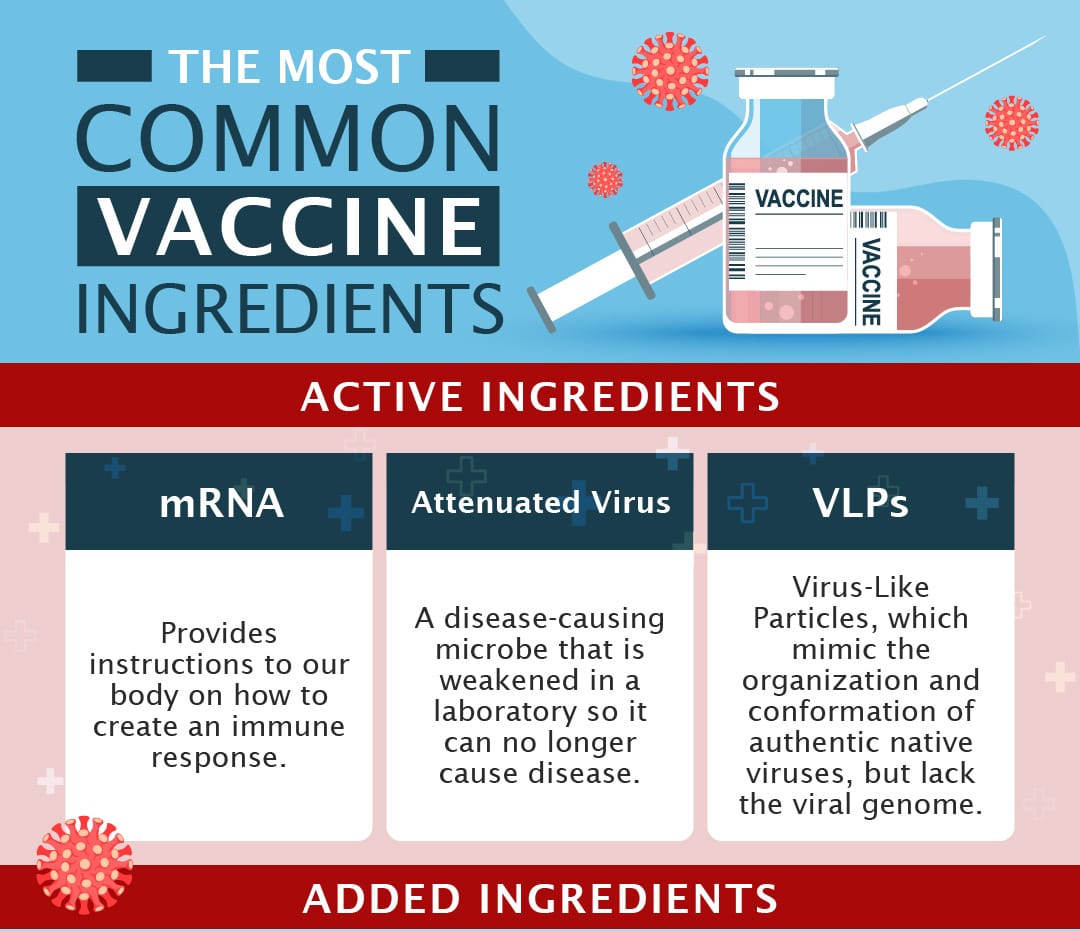 Vaccine Ingredients MedShadow Foundation Independent Health 