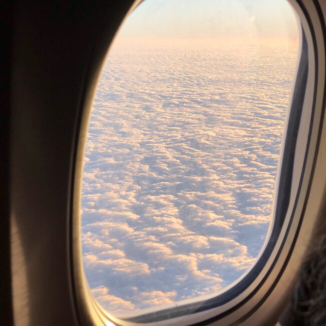 Su Takes on Motion Sickness