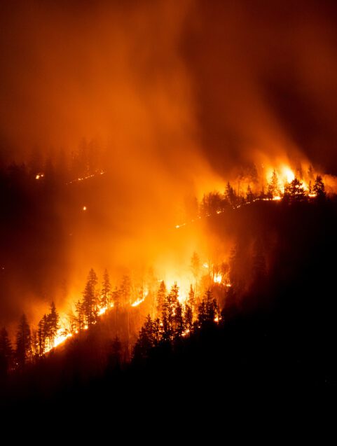 How Wildfires Affect Your Health