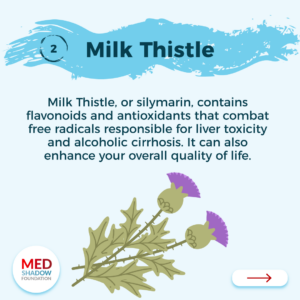 Milk Thistle to Support the Liver