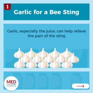 Garlic For A Bee Sting