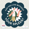Can You Live Without Your Spleen?
