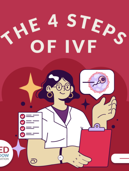 The 4 Steps of IVF