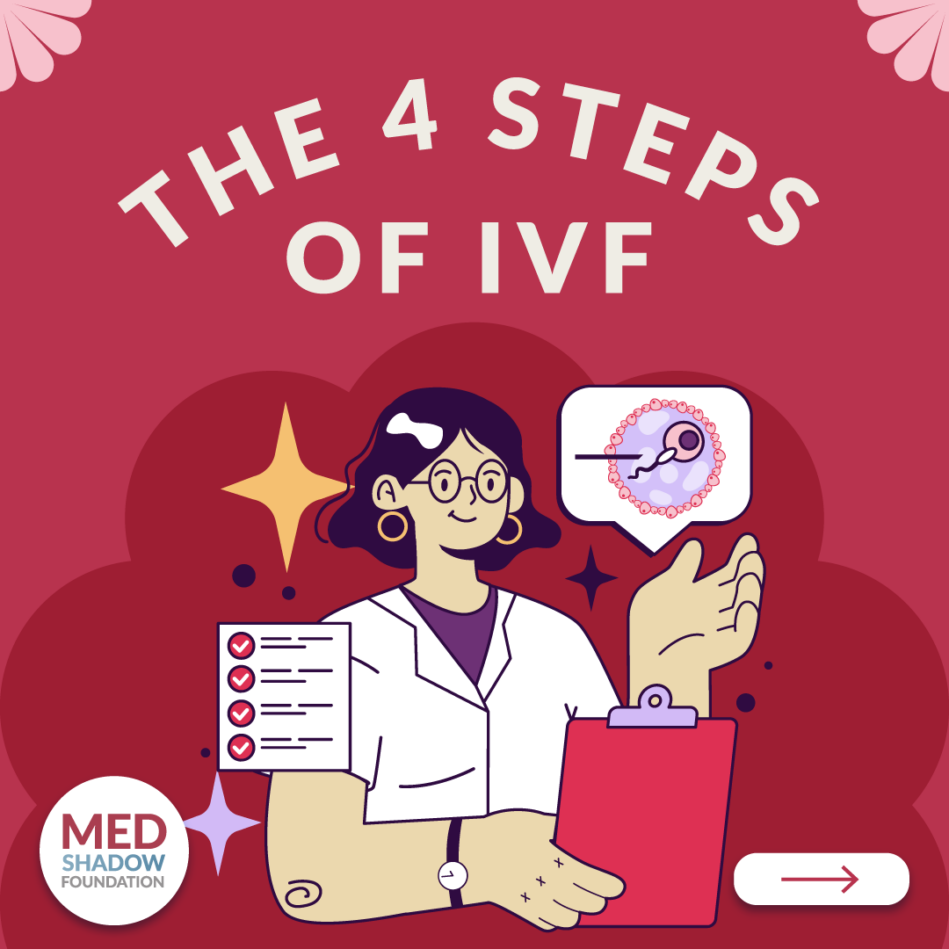 The 4 Steps of IVF