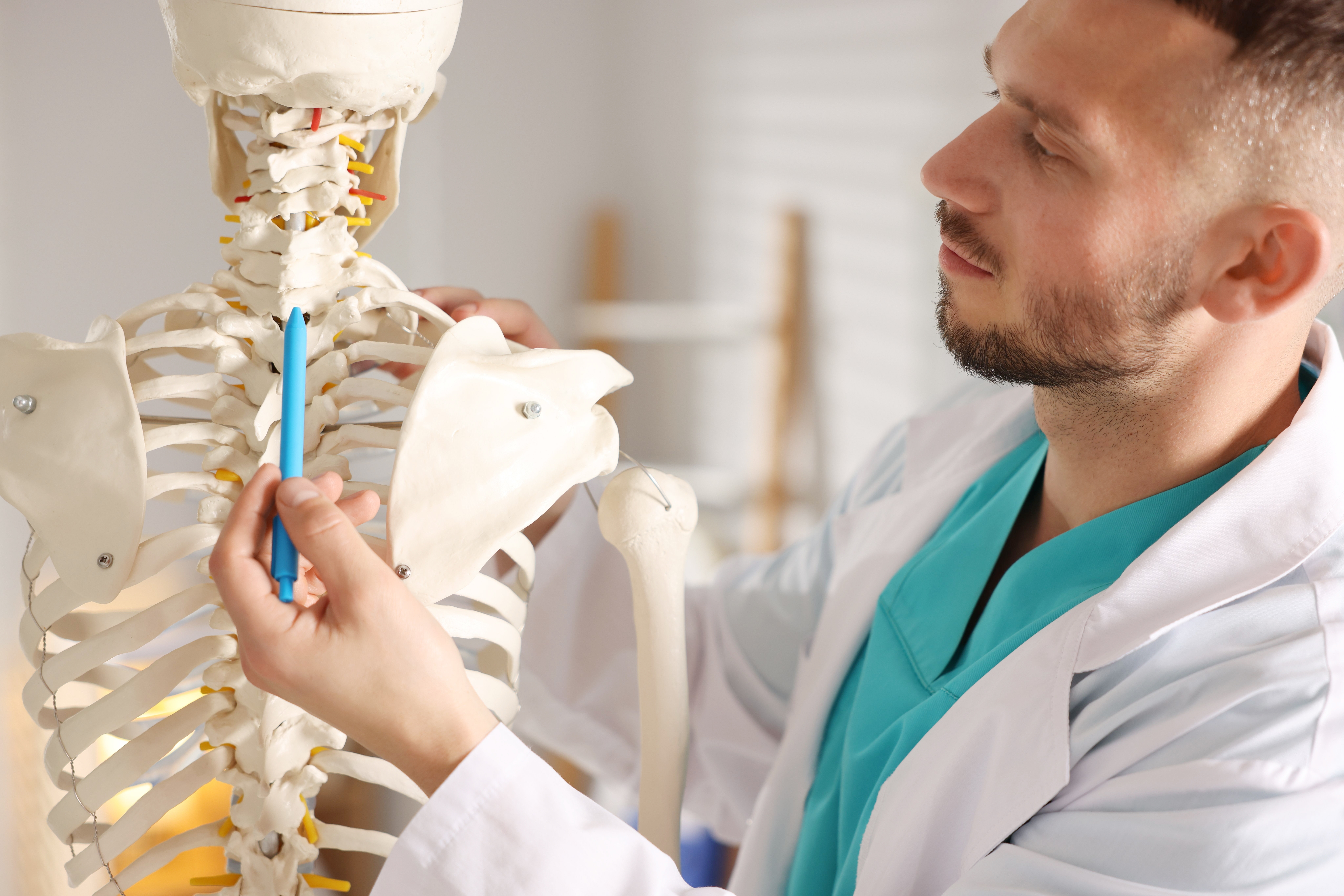 doctor pointing to skeleton
