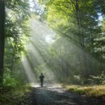man walking in the woods